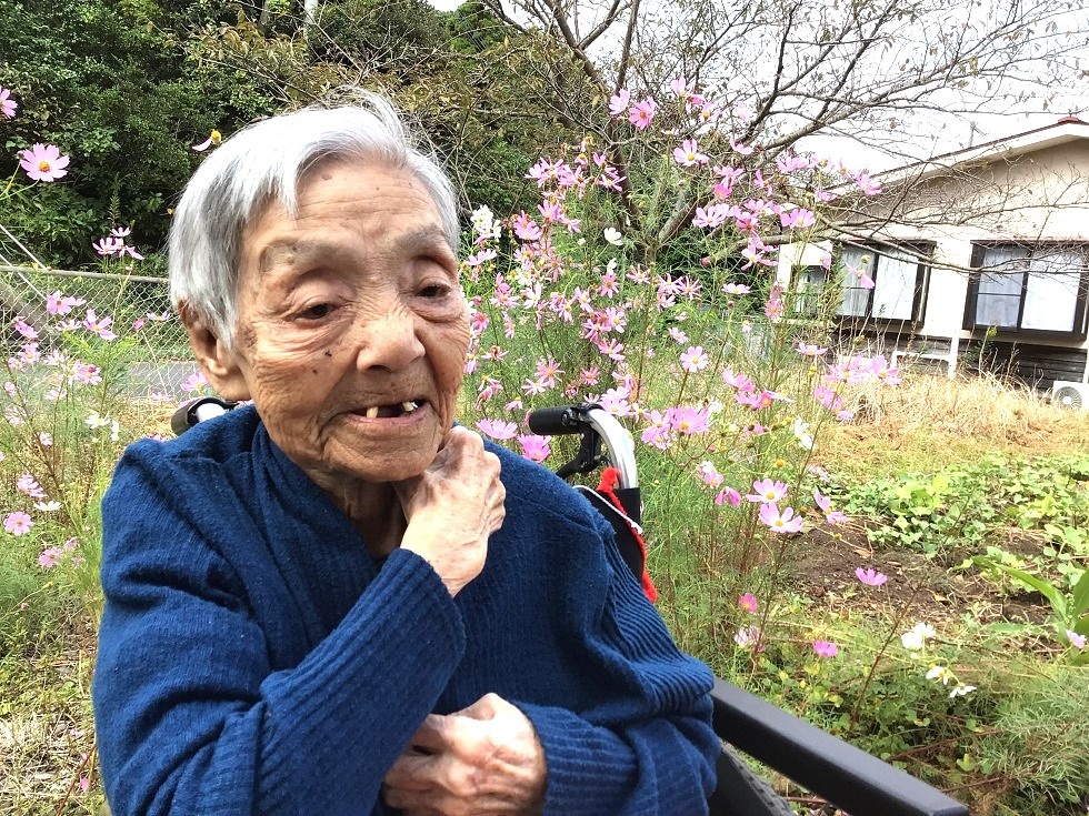 令和５年コスモス鑑賞会