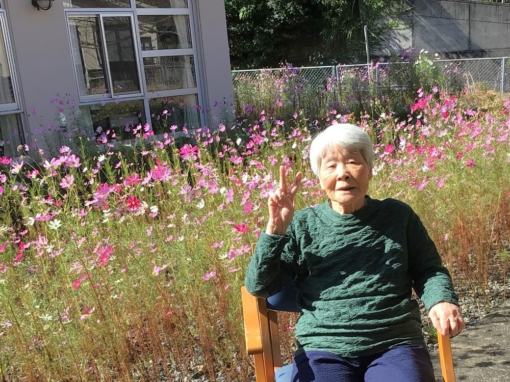 令和５年コスモス鑑賞会