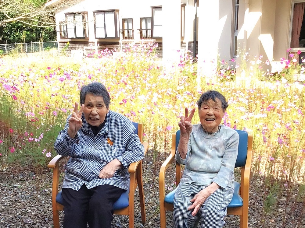 令和５年コスモス鑑賞会