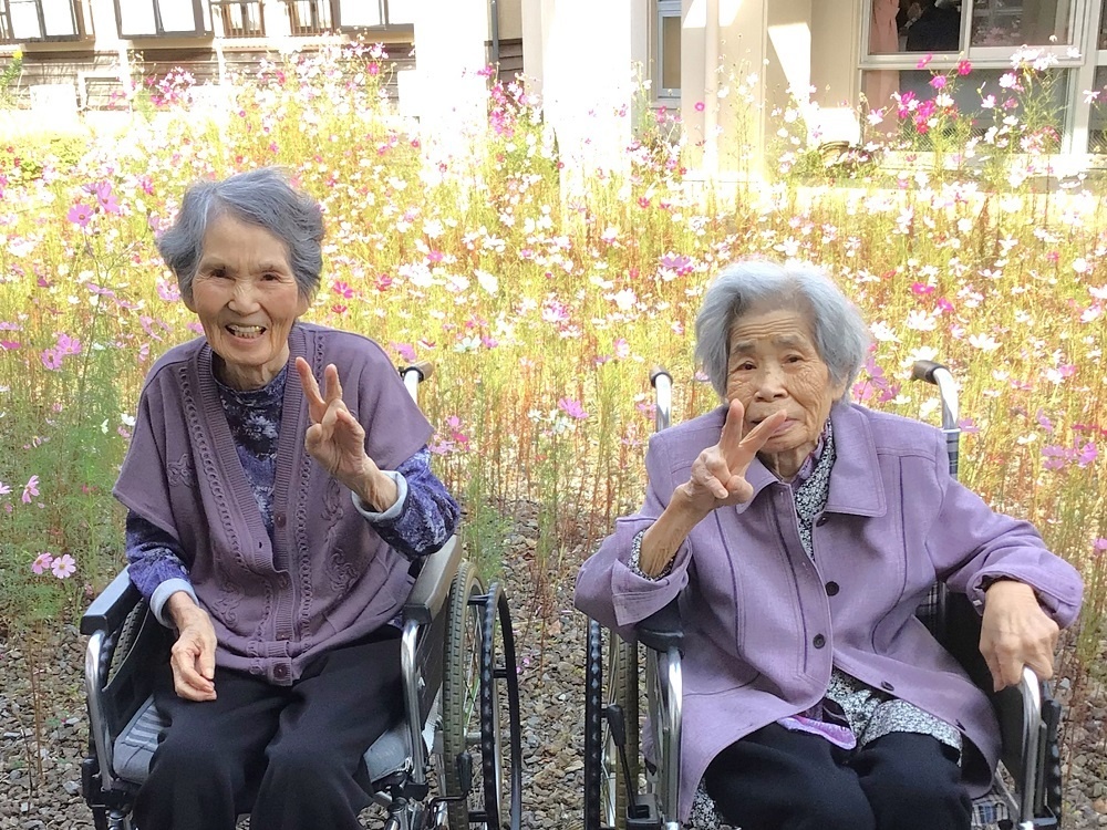 令和５年コスモス鑑賞会