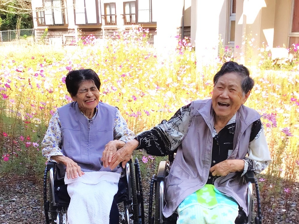 令和５年コスモス鑑賞会