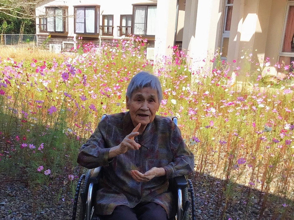 令和５年コスモス鑑賞会