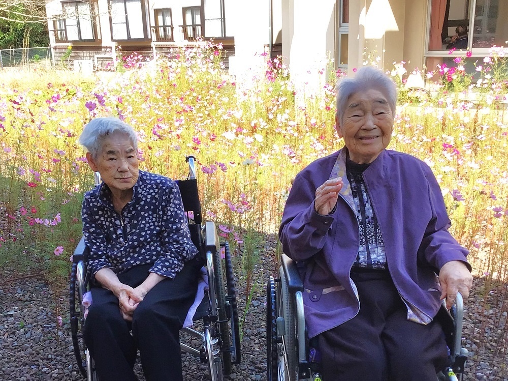 令和５年コスモス鑑賞会