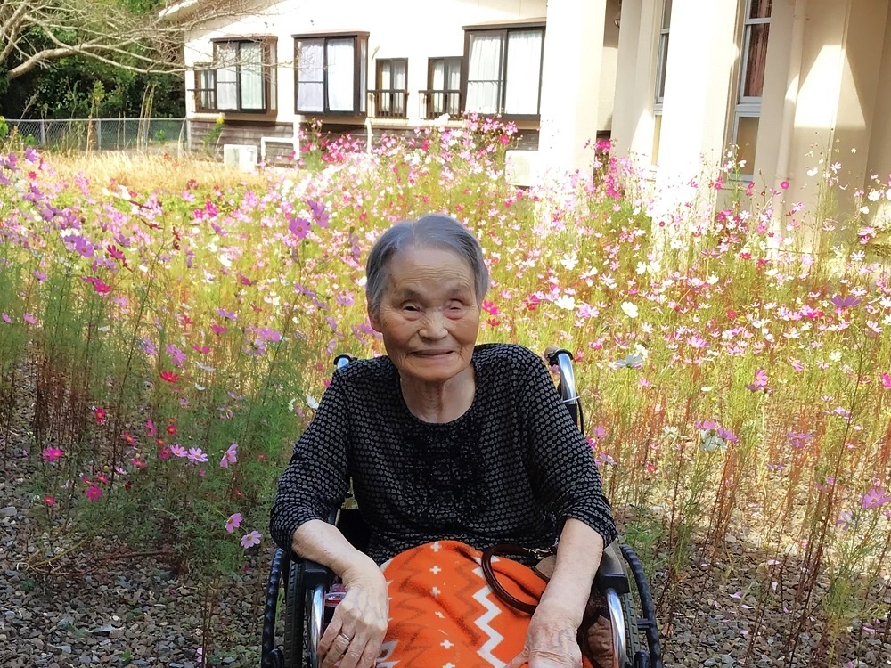 令和５年コスモス鑑賞会